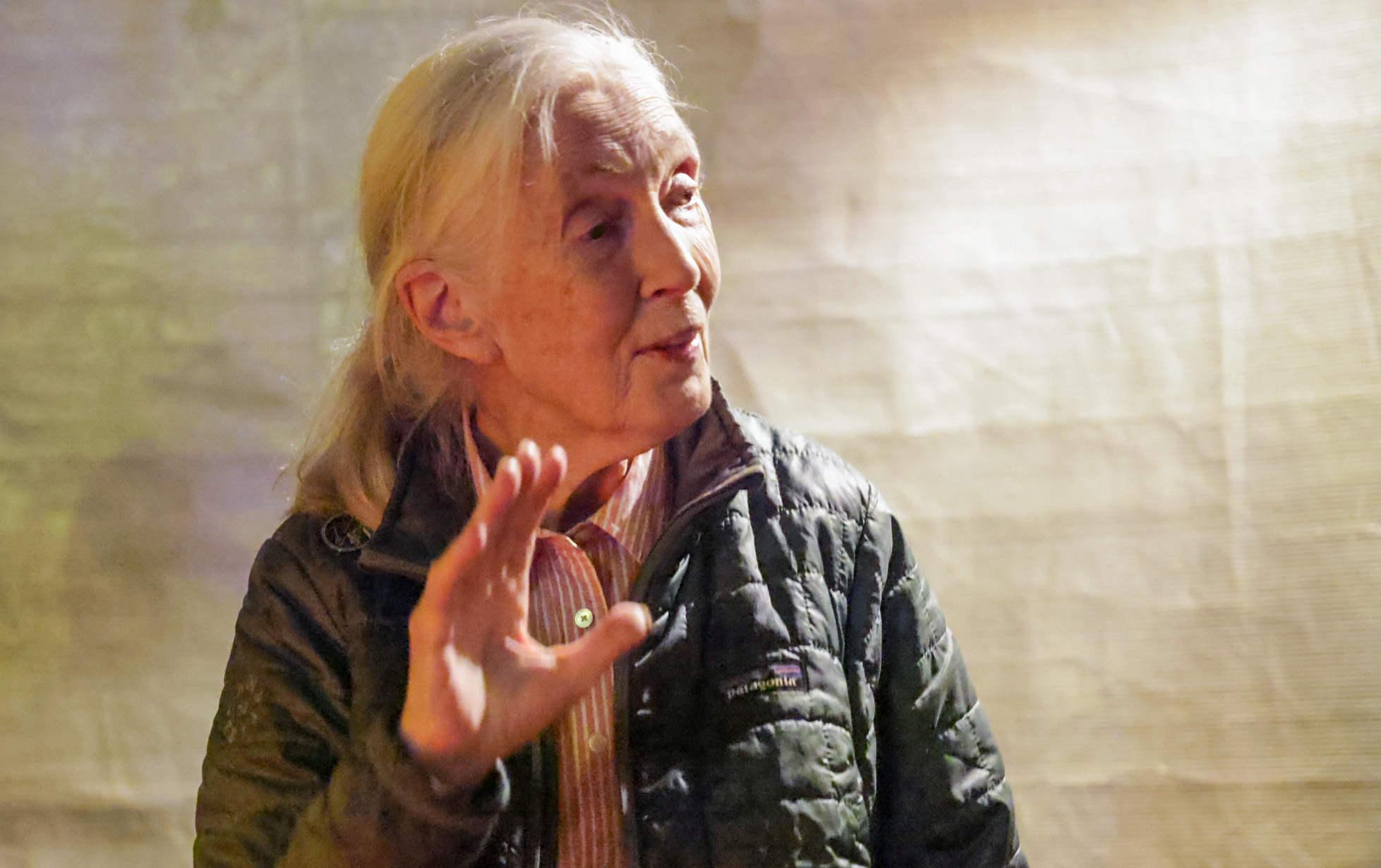 Dr. Jane Goodall Visit